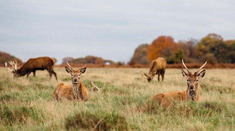 tv guide richmond va